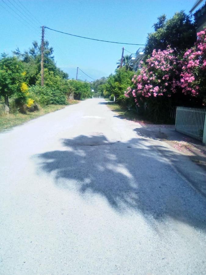 Apartamento Little Beauty - Happyhostgr - In Platamonas Exterior foto